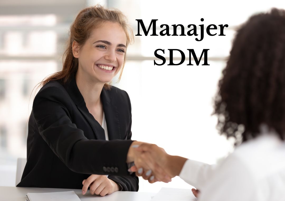 Manajer SDM